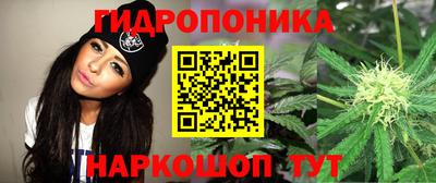круглые Будённовск
