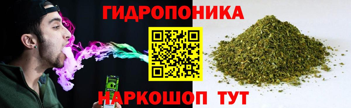 Марихуана ГИДРОПОН  Бошки Шишки план  Санкт-Петербург  Вход с VPN  Бошки Шишки план 